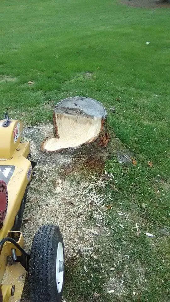 Local lawn mowing service for residential properties across Niles, MI - JD's Tree And More