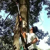 Trusted yard maintenance experts serving Niles, MI - JD's Tree And More