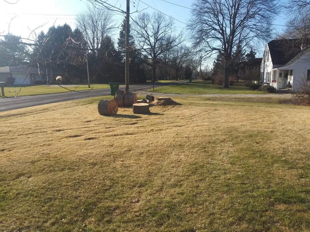 Custom landscape installation in Niles, MI - JD's Tree And More