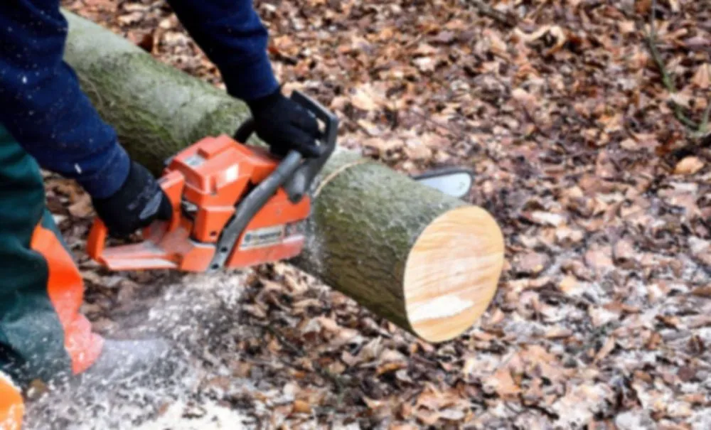 Custom yard cleanup service near you in Niles, MI by JD's Tree And More