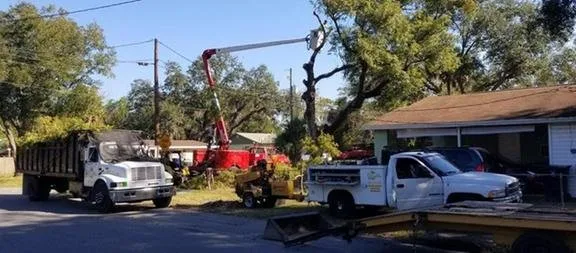 Local lawn mowing service in Dover, FL - JD's Tree Service & Landscaping