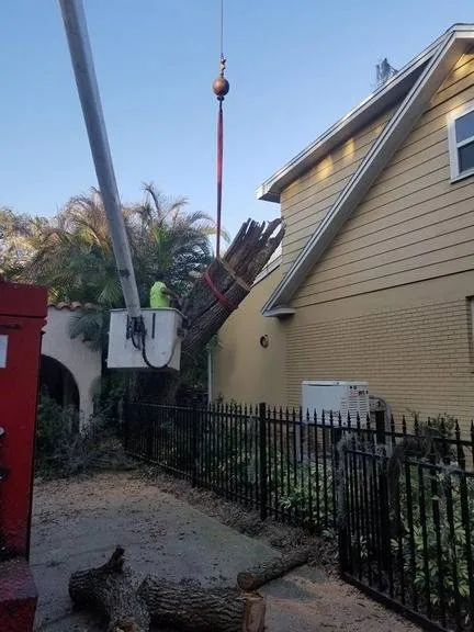 Trusted landscape installation for beautiful yards in Dover, FL by JD's Tree Service & Landscaping