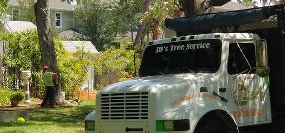 Local outdoor landscaping for beautiful yards in Dover, FL by JD's Tree Service & Landscaping