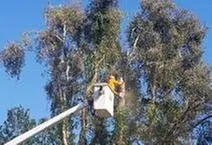 Professional outdoor landscaping in Dover, FL by JD's Tree Service & Landscaping