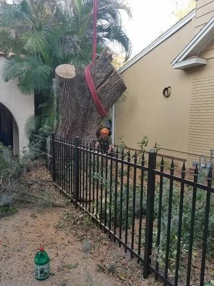 Affordable garden landscaping with custom design in Dover, FL by JD's Tree Service & Landscaping