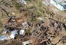 Expert outdoor landscaping in Dover, FL - JD's Tree Service & Landscaping