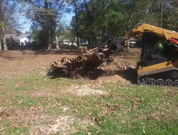 Expert residential landscaping for year-round maintenance across Dover, FL - JD's Tree Service & Landscaping