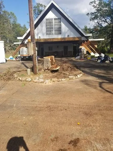 Custom residential landscaping for year-round maintenance across Dover, FL - JD's Tree Service & Landscaping