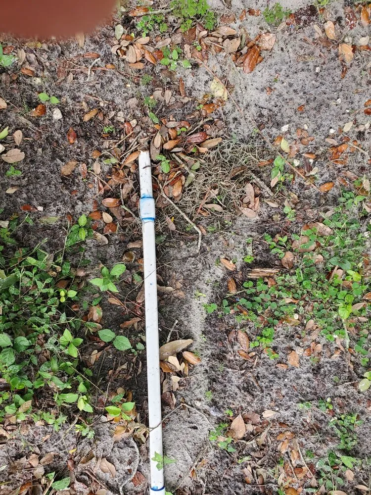 Top-rated yard maintenance in Dover, FL - JD's Tree Service & Landscaping