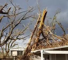 Reliable residential landscaping experts serving Dover, FL - JD's Tree Service & Landscaping