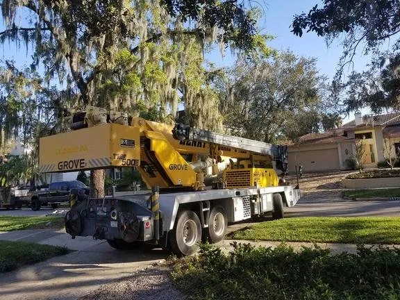 Affordable landscape design experts serving Dover, FL - JD's Tree Service & Landscaping