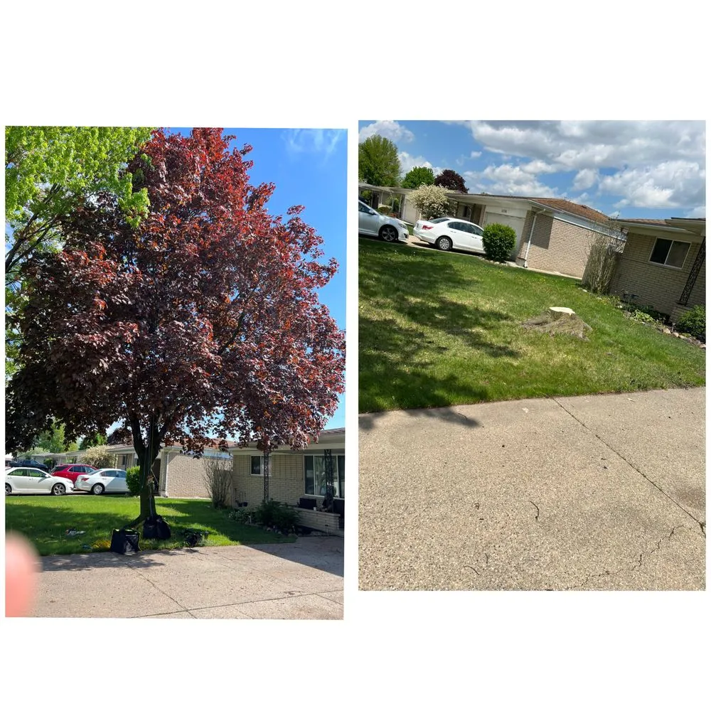 Custom residential landscaping experts serving Warren, MI - JDs Yard Men