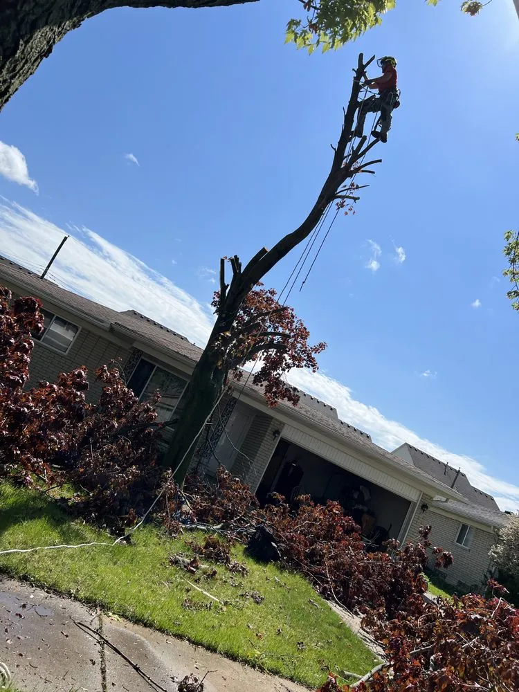 Professional landscaping services experts serving Warren, MI - JDs Yard Men