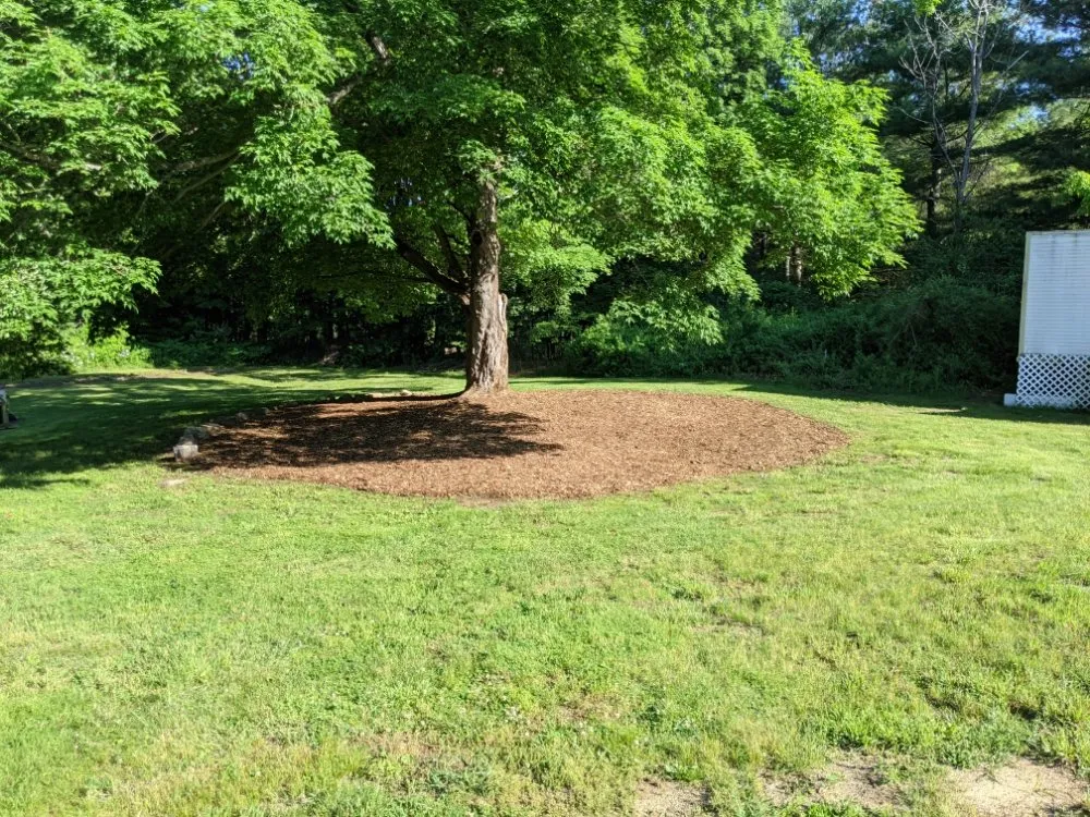 Local yard cleanup service experts serving Wales, MA - JD's Yard Scapes