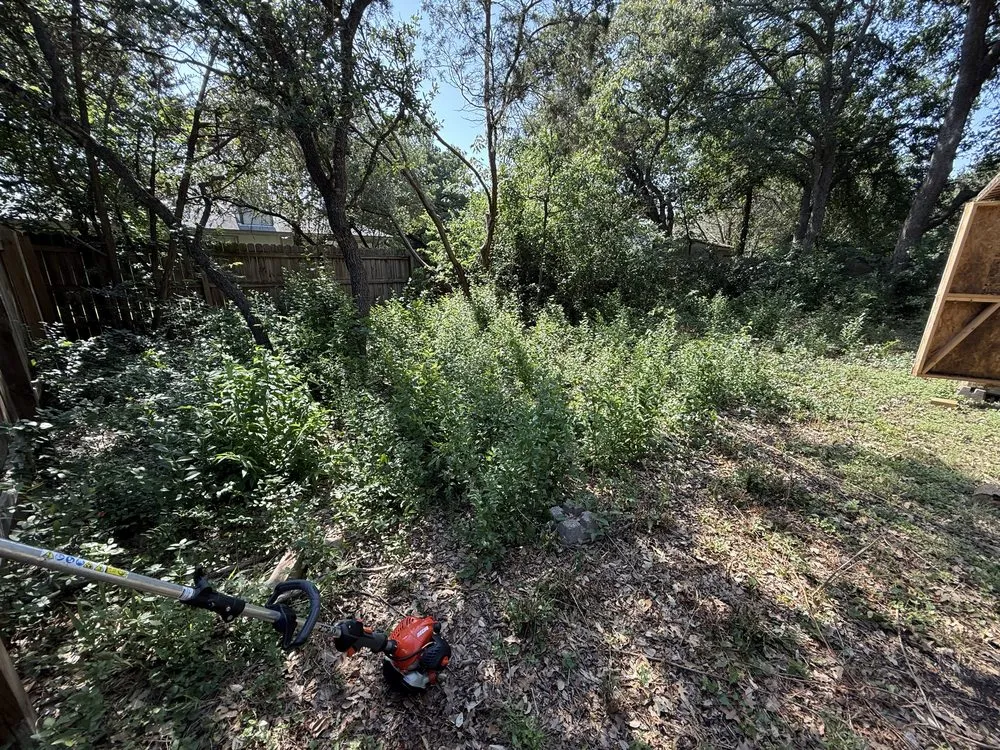 Reliable landscaping services in Leander, TX by JDV Lawn and Tractor Service