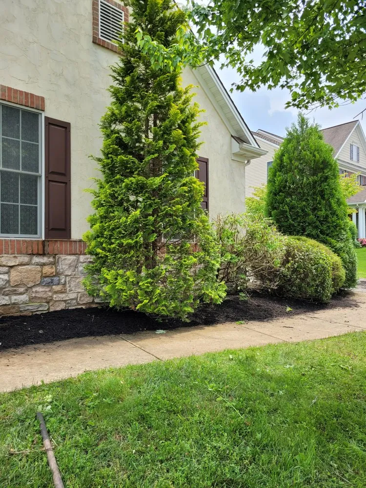 Reliable yard cleanup service experts serving Wrightsville, PA - JDW Property Solutions
