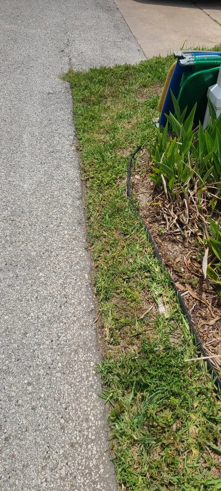 Reliable yard cleanup service in Hudson, FL - JDW services