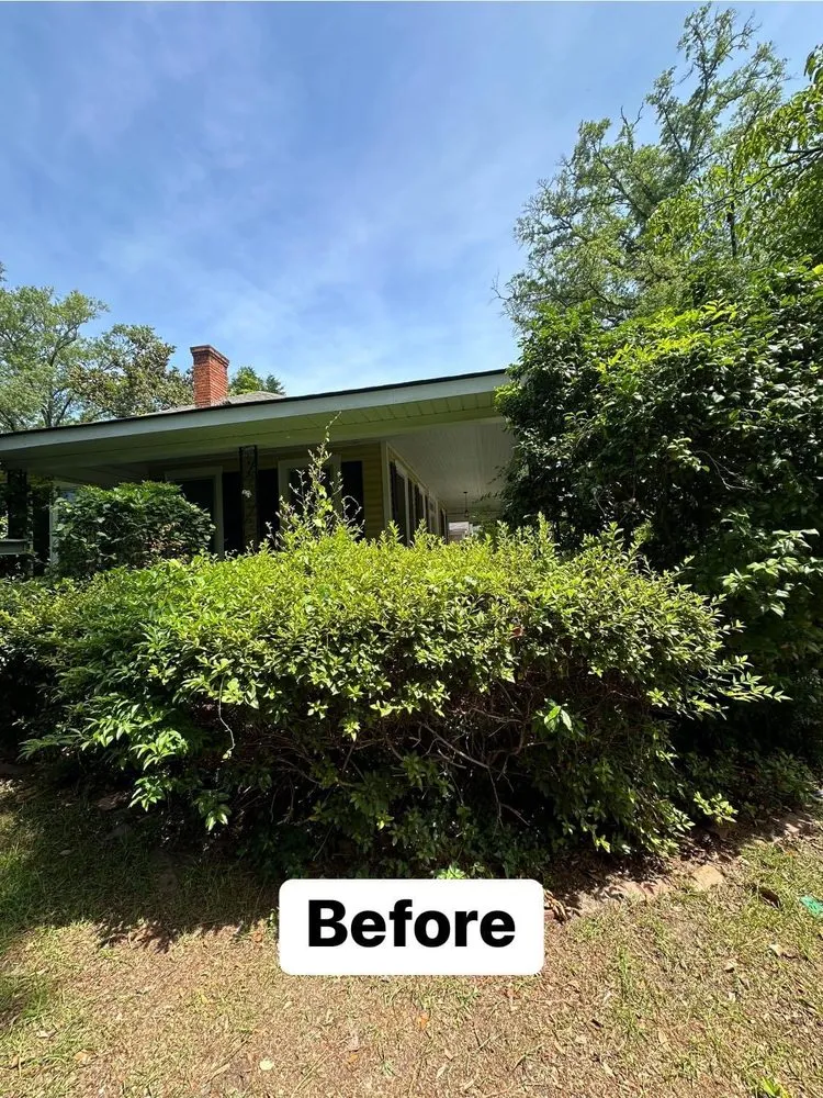 Custom yard cleanup service in Gaston, SC - Je & R Landscaping