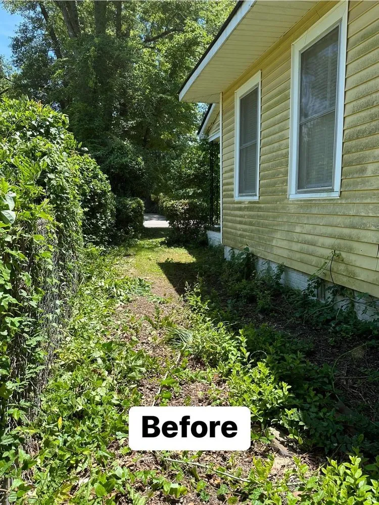 Professional lawn care service in Gaston, SC by Je & R Landscaping