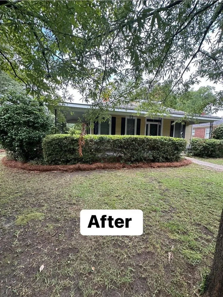 Reliable landscape design for year-round maintenance across Gaston, SC - Je & R Landscaping