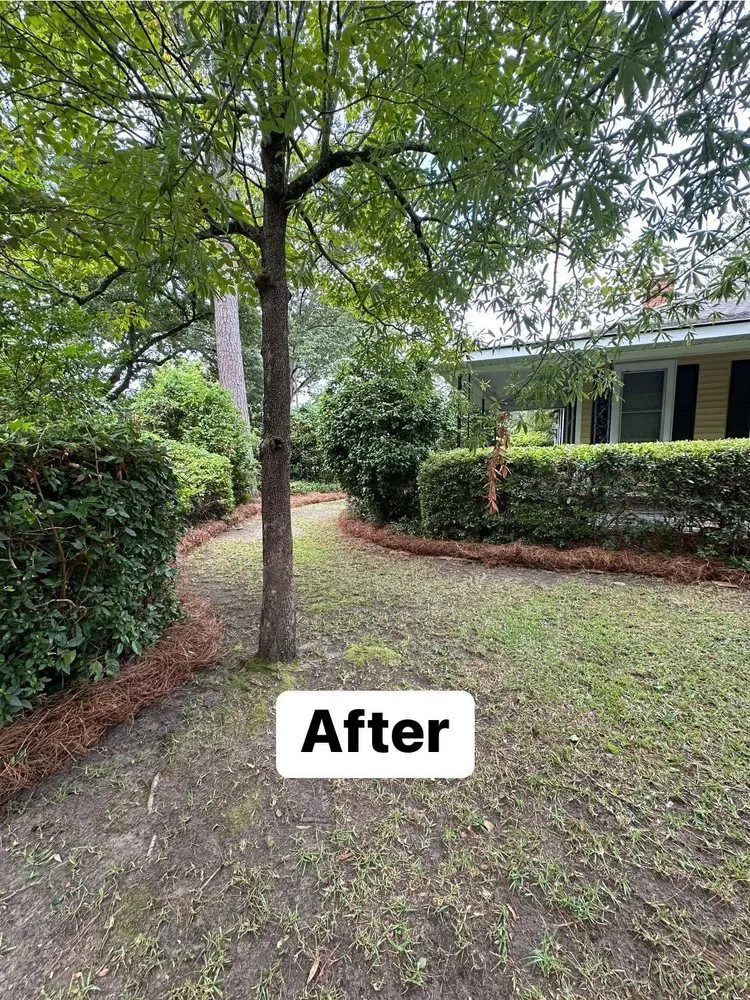 Affordable yard maintenance in Gaston, SC - Je & R Landscaping