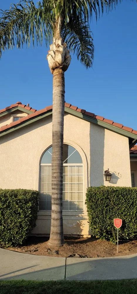 Professional yard cleanup service in Hanford, CA - J&E Clean Cut Landscape & Tree Service