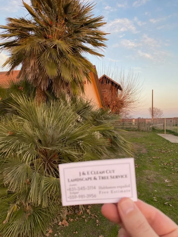 Professional landscape installation for year-round maintenance across Hanford, CA - J&E Clean Cut Landscape & Tree Service