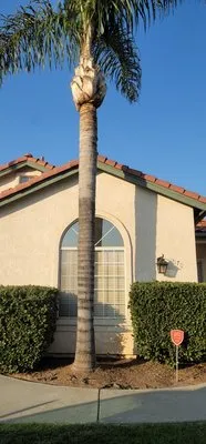 J&E Clean Cut Landscape & Tree Service Logo