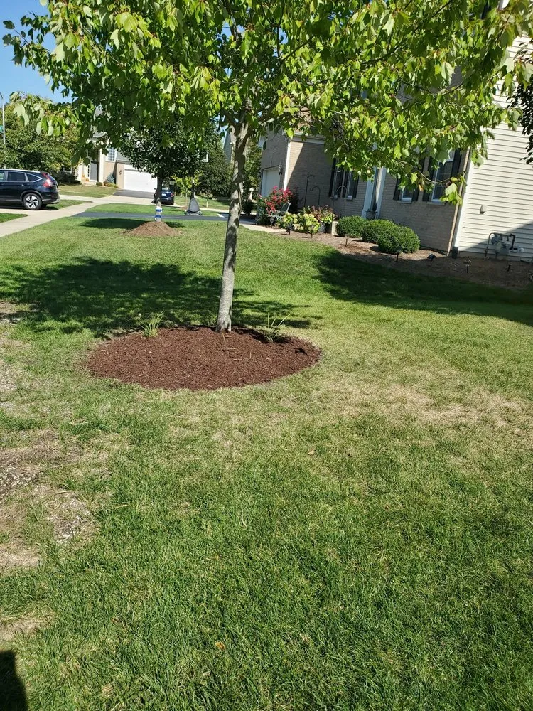 Local yard maintenance in Aurora, IL - J&E Hardscaping