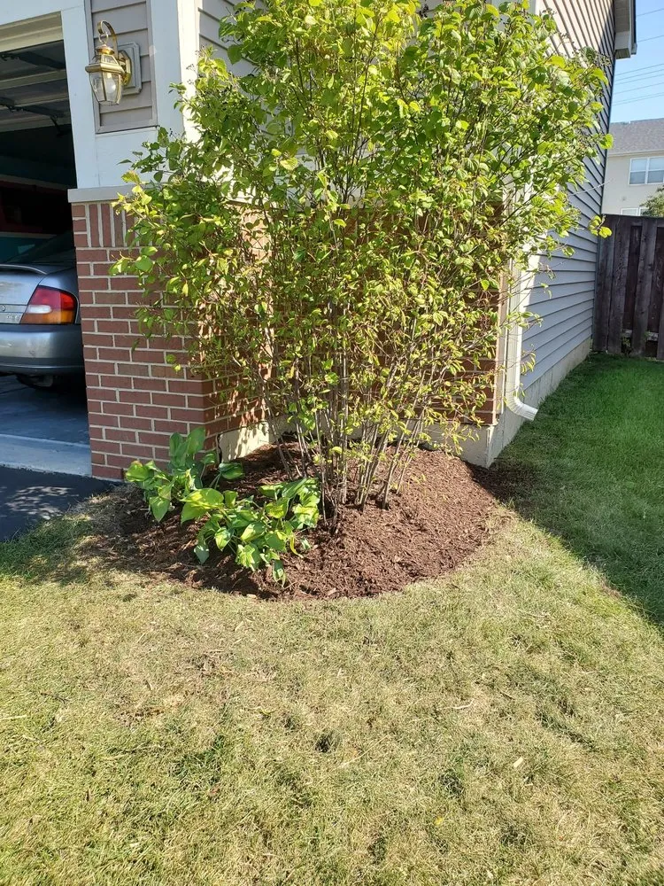 Custom lawn care service for outdoor upgrades in Aurora, IL by J&E Hardscaping