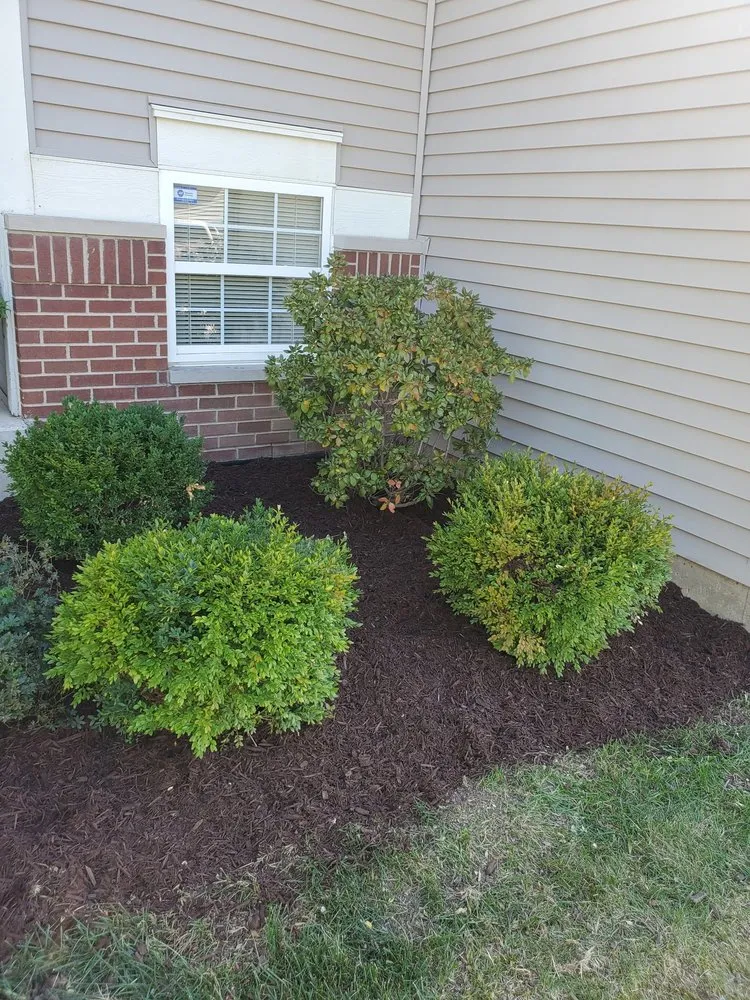 Professional lawn care service experts serving Aurora, IL - J&E Hardscaping