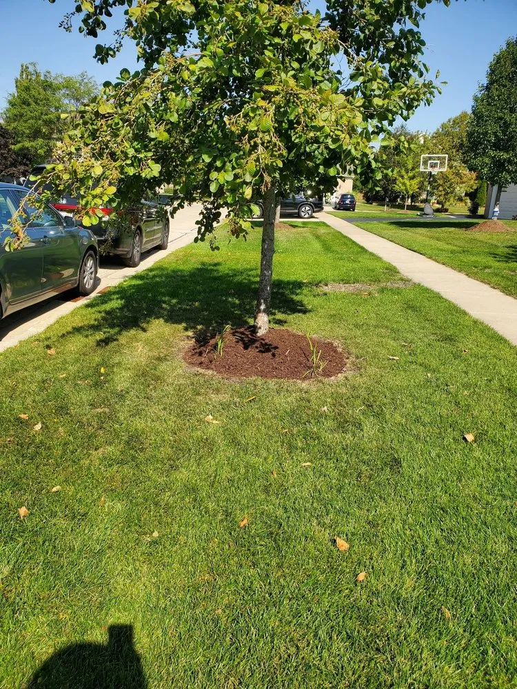 Reliable lawn mowing service for homes in Aurora, IL by J&E Hardscaping