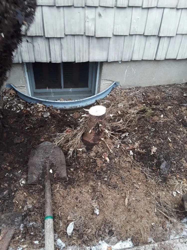 Professional lawn care service in Port Crane, NY by J&E landscaping and lawn care