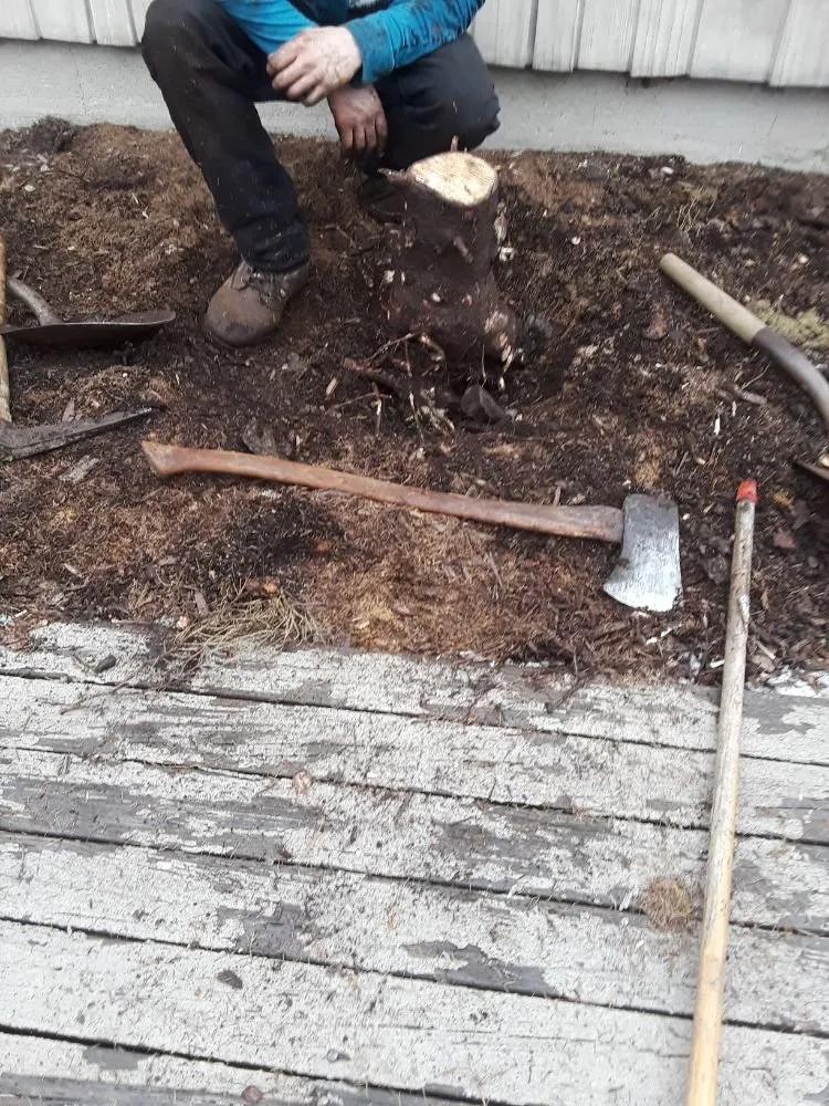 Professional landscaping services experts serving Port Crane, NY - J&E landscaping and lawn care