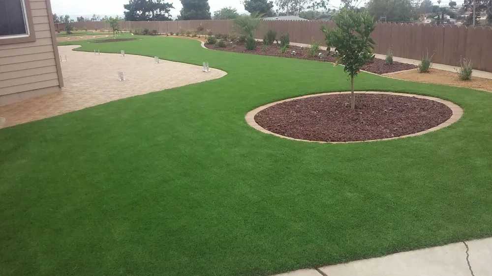 Expert yard cleanup service in San Diego, CA - JE Landscaping Company