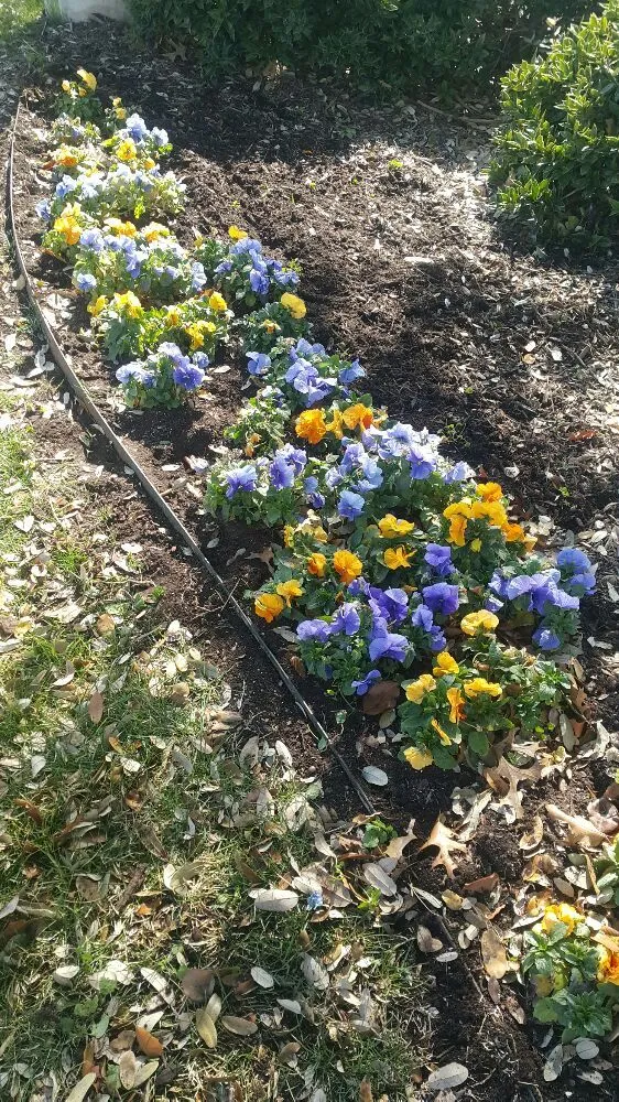 Custom garden landscaping experts serving Dallas, TX - J&E Landscaping