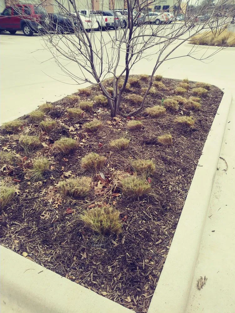 Local yard maintenance in Dallas, TX by J&E Landscaping
