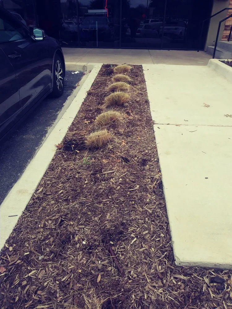 Custom landscape design for beautiful yards in Dallas, TX by J&E Landscaping