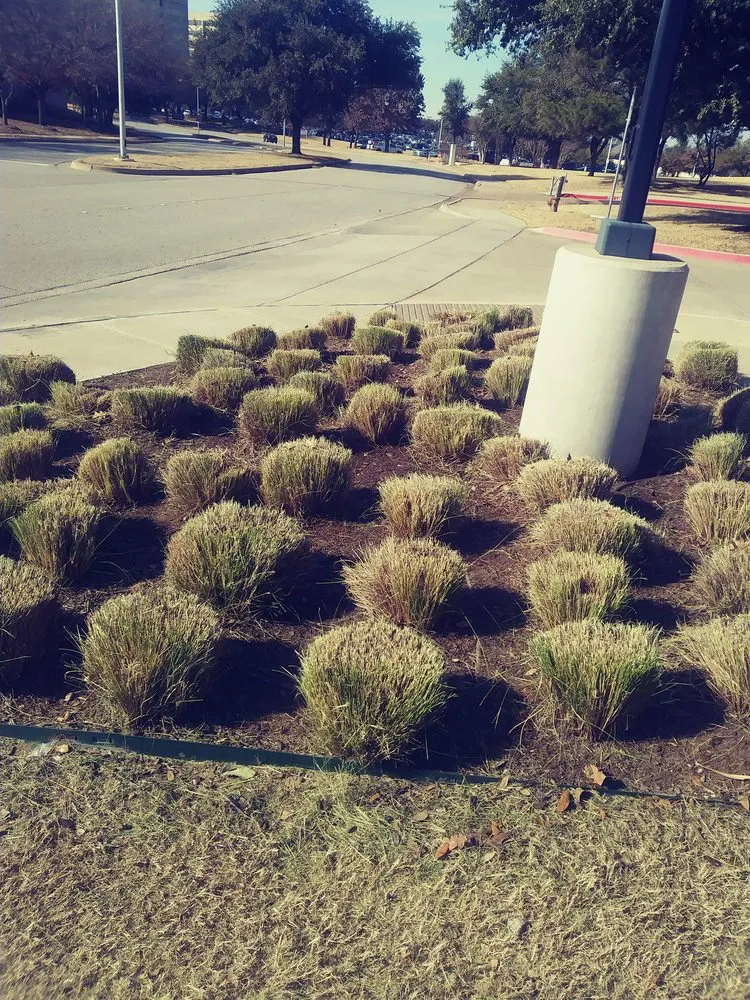 Professional outdoor landscaping in Dallas, TX by J&E Landscaping