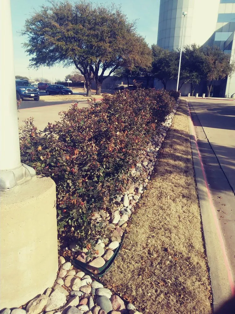 Expert lawn mowing service in Dallas, TX by J&E Landscaping