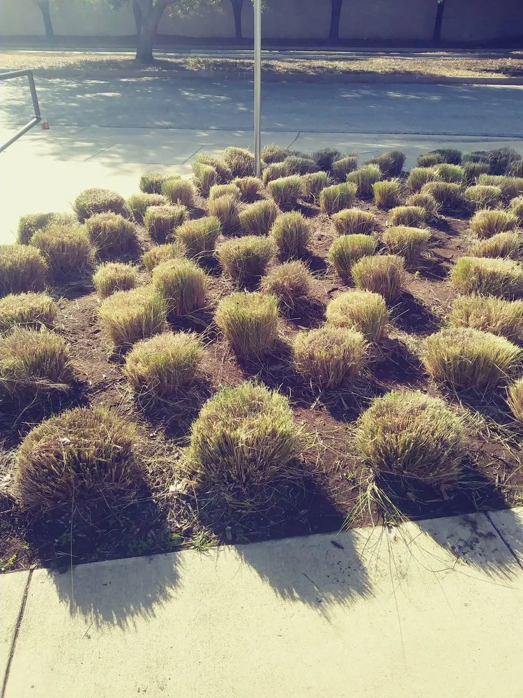 Local outdoor landscaping for homes across Dallas, TX - J&E Landscaping