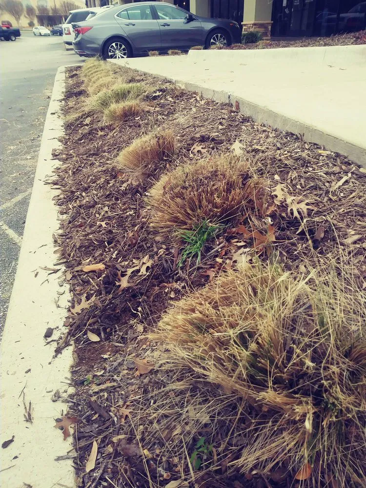 Professional landscape design in Dallas, TX by J&E Landscaping