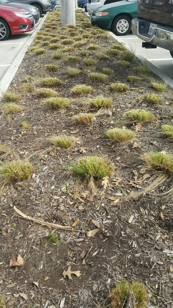 Reliable outdoor landscaping for homes in Dallas, TX by J&E Landscaping