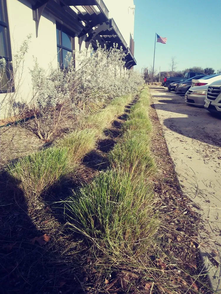 Affordable yard maintenance in Dallas, TX by J&E Landscaping