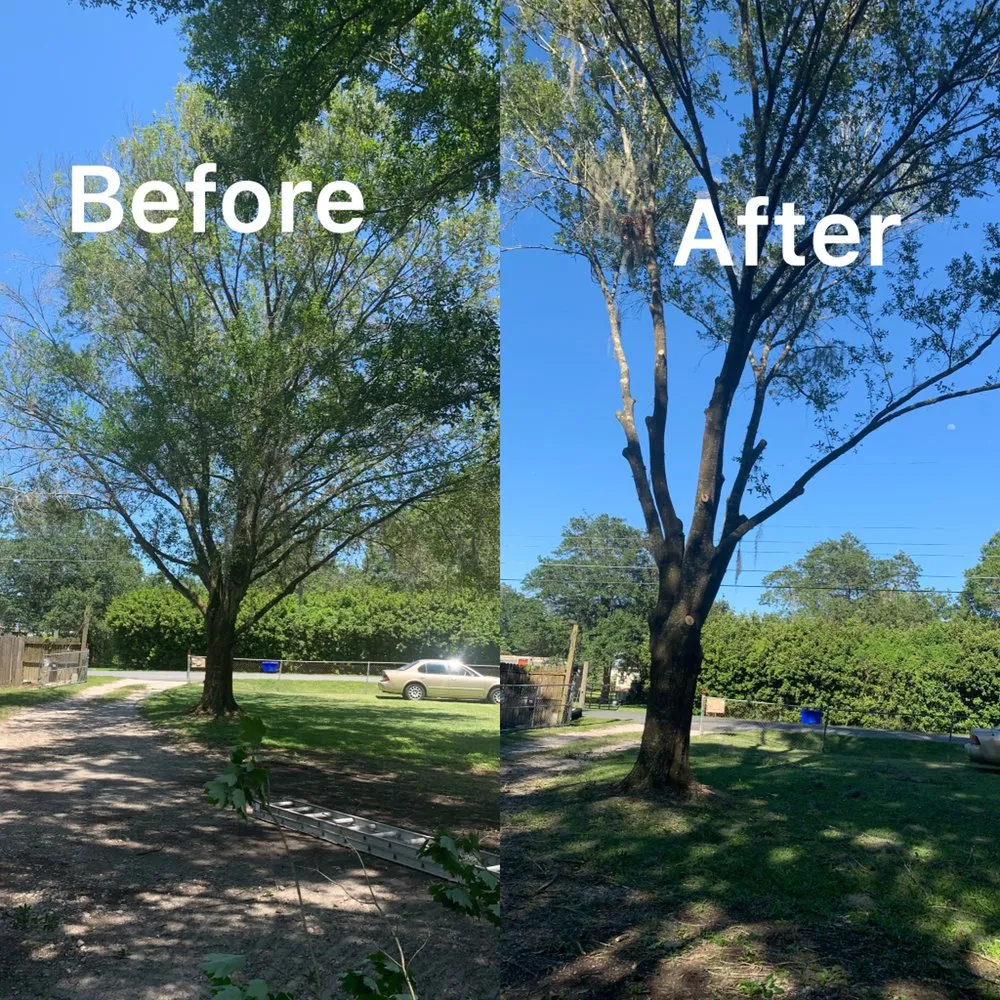 Reliable outdoor landscaping experts serving Mulberry, FL - J.E Landscaping sevice