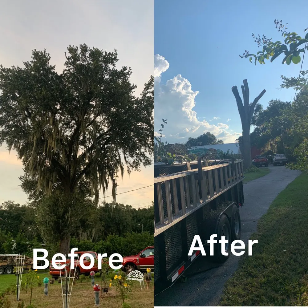 Custom residential landscaping in Mulberry, FL by J.E Landscaping sevice