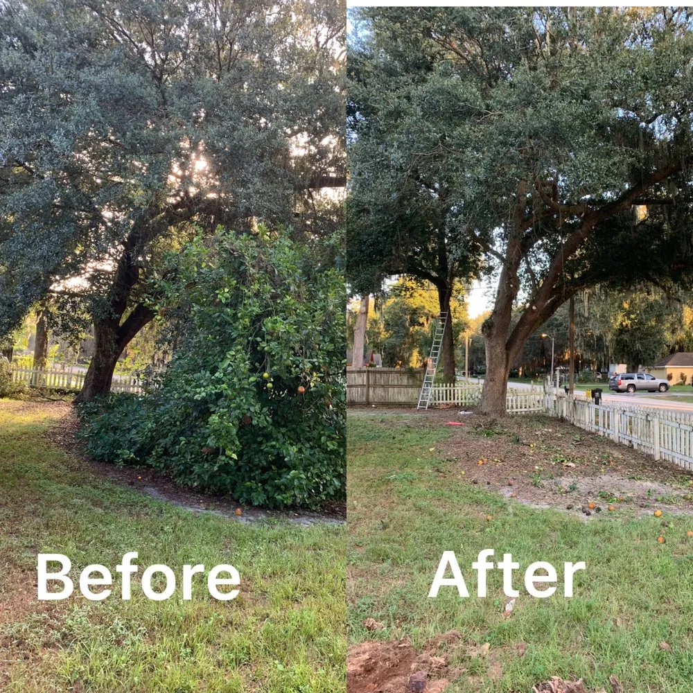 Local residential landscaping for homes across Mulberry, FL - J.E Landscaping sevice