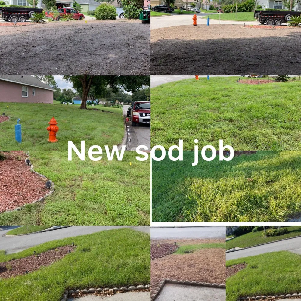 Custom yard cleanup service in Mulberry, FL - J.E Landscaping sevice