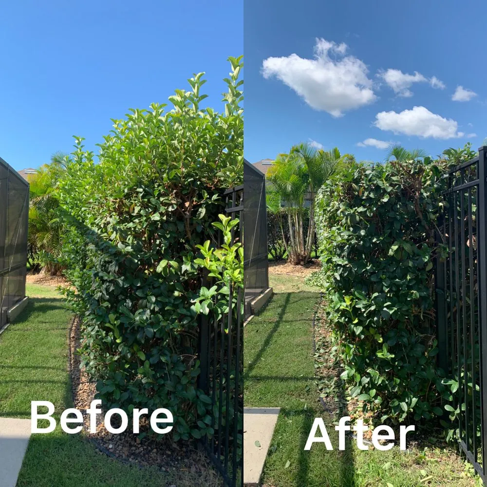 Affordable yard cleanup service in Mulberry, FL - J.E Landscaping sevice