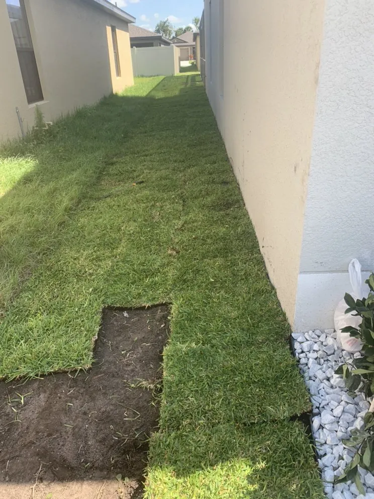 Trusted landscape installation for year-round maintenance in Mulberry, FL by J.E Landscaping sevice